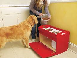 I have to ask friends or relatives to take care of my cat. Build A Diy Dog Feeding Station This Old House