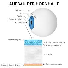 Hornhautentzundung Ursachen Symptome Behandlung