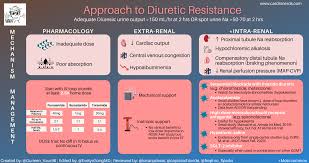 Image result for Diuretic