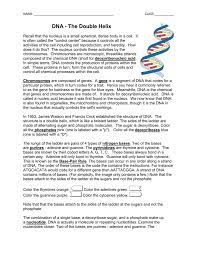 This coloring page features a double helix structure, or a. 35 Dna The Double Helix Coloring Worksheet Free Worksheet Spreadsheet