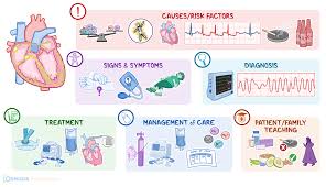 Image result for Ventricular Fibrillation Management in the Adult