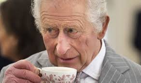 Remarkable moment King Charles accepted offer of tea from complete  strangers