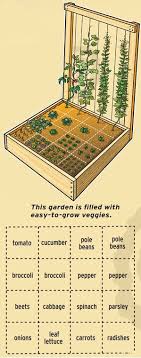 How To Build And Arrange A Raised Bed Vegetable Garden Its Overflowing Starting A Vegetable Garden Square Foot Gardening Veggie Garden