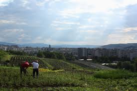 1 mai, suceava, 720224, romania. Gene Banks Locked Away Seed Diversity Arc2020