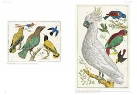 Maybe you would like to learn more about one of these? Albertus Seba S Amazing Cabinet Of Natural Curiosities Brain Pickings