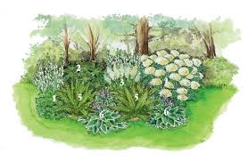 Schattige Platze Im Garten 3 Ideen Zum Nachpflanzen In 2020 Pflanzen Krautergarten Design Umpflanzen
