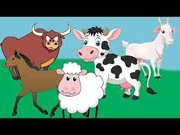 ciftlik hayvanlari hayvan sesleri hayvan cizimi hayvanlari taniyalim youtube funny gif drawings cizgi film
