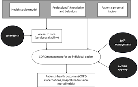 Image result for COPD Management