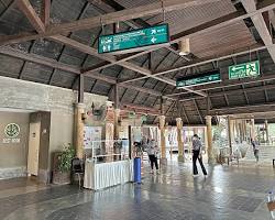 清邁夜間動物園 Jaguar Trail Zone的圖片