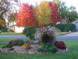 But you'll have to take care of the way they are displayed. The Flower Mound In Our Front Yard It Was A Dead Tree When We Bought The Place 6 Years Ago Front Landscaping Front Yard Plants