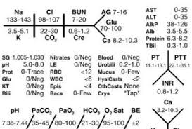 Lab Tree Diagram Wedocable Lab Values Average Blood