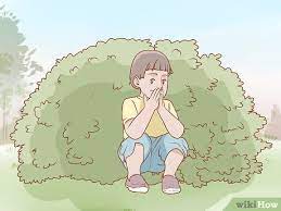 Hide synonyms, hide pronunciation, hide translation, english dictionary definition of hide. 3 Ways To Hide Wikihow