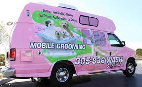Maybe you would like to learn more about one of these? Super Star Mobile Grooming Home Facebook