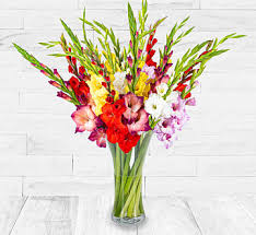 Send flowers cheap without losing out on the quality of your favorite floral arrangements. Next Day Flowers 123 Flowers