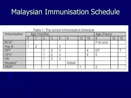 It has imposed more lockdowns this year amid a fresh wave of coronavirus infections. Vaccines And Immunisation Ppt Video Online Download
