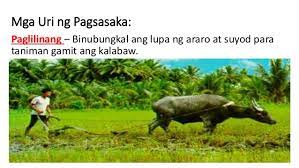 Nagmumula ang mga atleta, ang mga kalahok na manlalaro, sa lahat ng mga lungsod ng gresya. Mga Likas Na Yaman At Hanapbuhay Ng Mga
