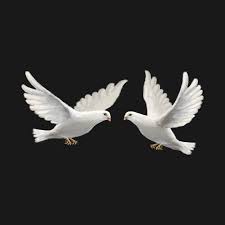 Check Out This Awesome Doves Design On Teepublic Taubenbilder Taube Weisse Taube