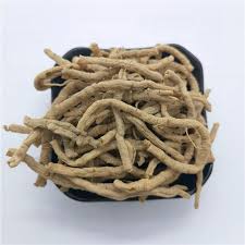 Image result for Polygala schinziana