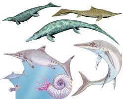 Image result for ichthyosaurs