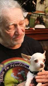 Sonny Blevins (sonnyblevins)