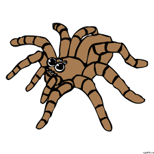 Check spelling or type a new query. Spider Cartoon Drawing In 4 Steps With Photoshop