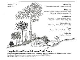 Linear Food Forests Along Hugelkultured Swales Midwest Permaculture Forest Plants Permaculture Design Food Forest Garden