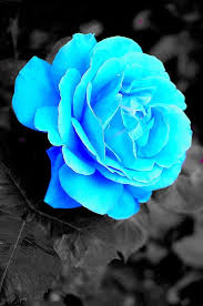 Hak = mendapat perlakuan yang baik dari keluarga,dihormati anak. Oci Ohlu614 Profil Pinterest