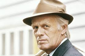 The Adventures of Don Quick