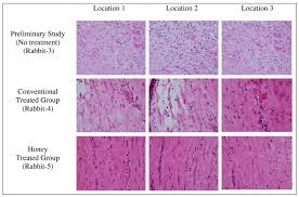 In your opinion, what is the biggest reason that m creative sdn bhd still can surviv. Anti Inflammatory And Antioxidant Effects Of Tualang Honey In Alkali Injury On The Eyes Of Rabbits Experimental Animal Study Bmc Complementary Medicine And Therapies Full Text