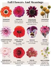 163 Beautiful Types Of Flowers A To Z With Pictures Types Of Wedding Flowers How To Choose Wedding Flowers Fall Flowers Types Of Flowers Flower Meanings