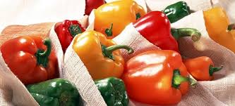 Image result for BENEFICIO DO PIMENTAO