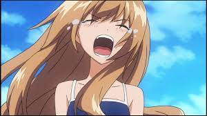 Toradora Episode 8 Review Melancholy3004 Reviews Anime Is an anime television series adapted from the light novel series of the same title written by yuyuko takemiya and illustrated by yasu. toradora episode 8 review