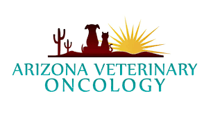 A dog with nose cancer will also show respiratory symptoms, such as excessive sneezing. Nasal Tumors In Pets I Arizona Veterinary Oncology