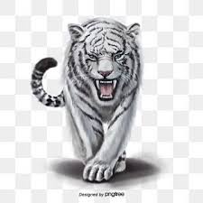 Animal Elements Of Ferocious White Tiger Ferocious Hand Painted White Tiger Png Transparent Clipart Image And Psd File For Free Download In 2020 White Tiger Animal Clipart Cute Animal Drawings