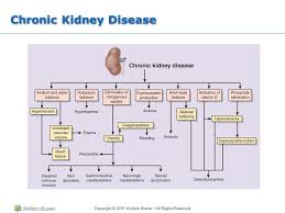 Chronic Kidney Disease Jpg 960 720 Chronic Kidney Disease Hyperkalemia Chronic