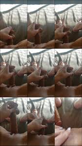 VIP Many Vids » [MAX] Hotwife801 2021 2002304216 Pleasing Pussy – 111.54 MB