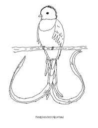 You could also print the image by. Resplendent Quetzal Coloring Page By Mama Draw It Tpt