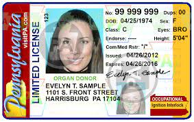 Ignition Interlock Faq