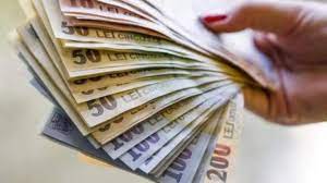 Tichetele de masă, înlocuite cu indemnizația de hrană. IndemnizaÅ£ie De HranÄƒ De 346 De Lei Pe LunÄƒ Ministrul FinanÅ£elor A Semnat Ordinul Pentru Tichetele
