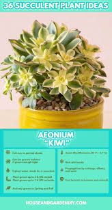50 Beautiful Succulent Garden Ideas Varieties Succulent Garden Indoor Outdoor In 2020 Succulent Landscaping Succulents Garden Care
