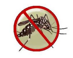 October 27, 2015 dengue patrol skkm. Pss Dengue Alert Wppf