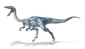 May 06, 2019 · coelophysis, which may have left the new york footprints attributed to grallator. Coelophysis Dinosaur Artwork By Leonello Calvetti