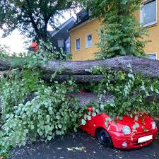 Juni) als auch am freitag, samstag. Unwetter In Nrw Gewitter Sorgen Fur Chaos Person In Gefahr Nrw