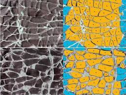 4500, 4502, 4510, 4512 series. Counting Of Fragments In Tempered Glass Fragmentation Test Glassonweb Com