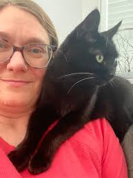 Purrlot G0UD4 has docked in the airport, hopefully this downtime will help  her grow into those big ol wings Edit: was asked for more pics of our  cheese plane and her littermate