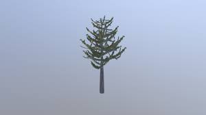 Not shipping to id, or & wa due to japanese beetle quarantine thanks for looking! Monkey Puzzle Tree 3d Model By Rmasakorala Rmasakorala B548b62