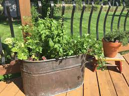 Growing vegetables in containers is also a good way to start out. How To Start An Herb Garden Get Healthy U