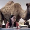 Geico hump day commercial year geico hump day camel commercial happier than a camel on. Https Encrypted Tbn0 Gstatic Com Images Q Tbn And9gcqehp4 Flhssbfg400hwlf4cqbexbr6wc02ch5e Btxkmlktwgg Usqp Cau
