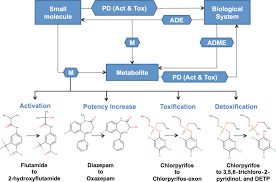 Staffel in der deutschen fernsehserie schloss einstein die rolle der schülerin sarah genzmer und übernahm damit eine der serienhauptrollen. Biotransformer A Comprehensive Computational Tool For Small Molecule Metabolism Prediction And Metabolite Identification Springerlink