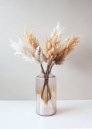 Fake Pampas Grass In Tan 33 Pampas Grass Decor Grass Decor Fall Home Decor